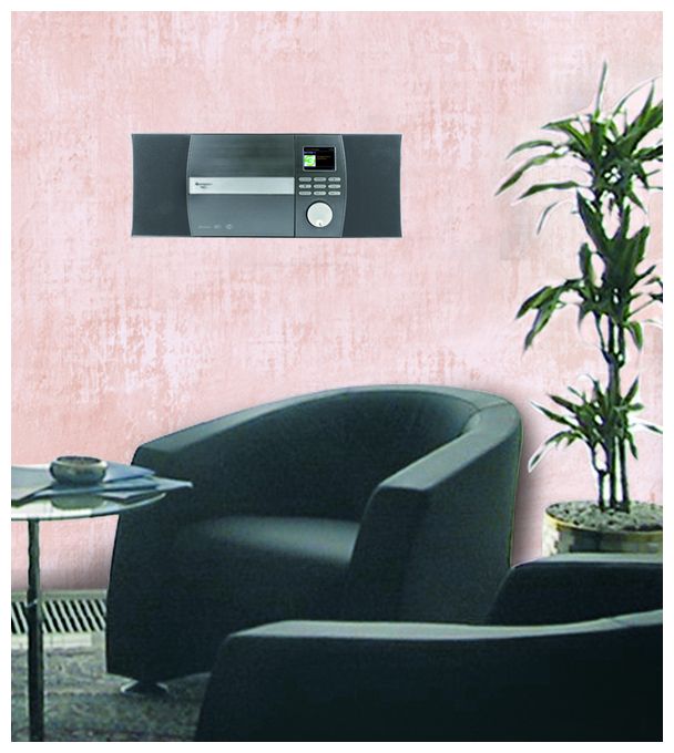 FM Radio  ICD1010AN (Grau) 