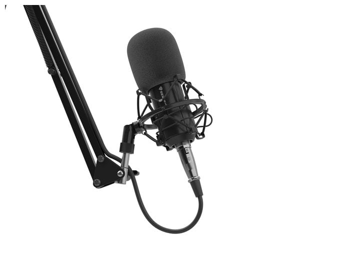 Kabelgebunden Studio-Mikrofon  Radium 300 XLR (Schwarz) 