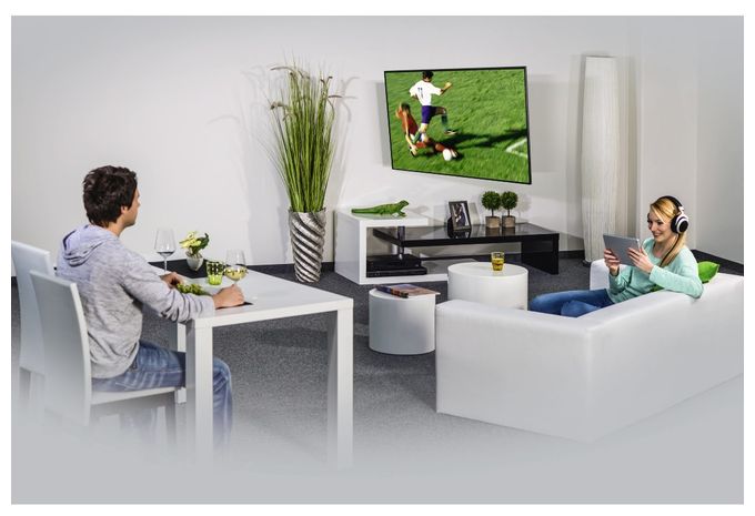 Wand Halterung 180° bis 165,1 cm (65") 20 kg 118102 Fullmotion 