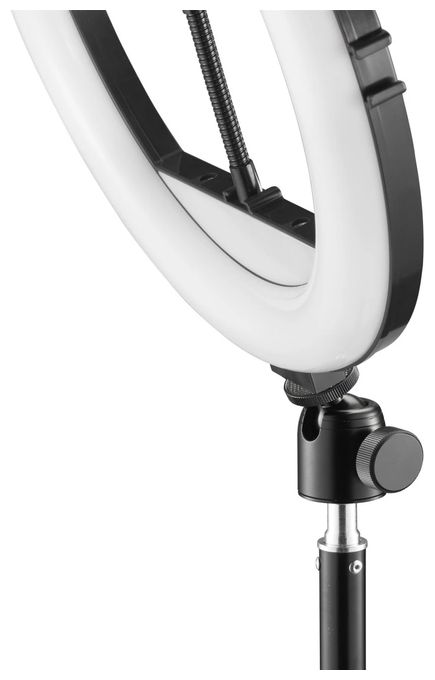 SpotLight Steady 120 III 
