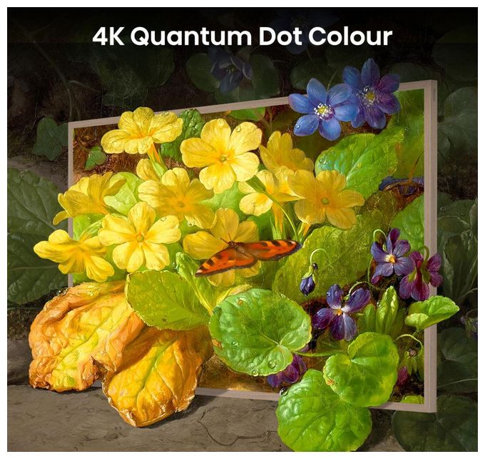 QLED 139,7 cm (55 Zoll) Fernseher 4K Ultra HD VESA 400 x 200 mm  55S7NQ (Gold) 