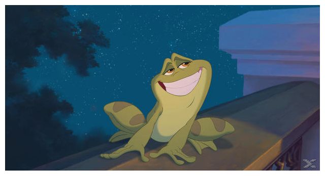 Küss den Frosch (DVD) 