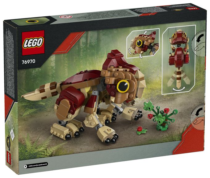 Babydinosaurier Dolores: Aquilops 