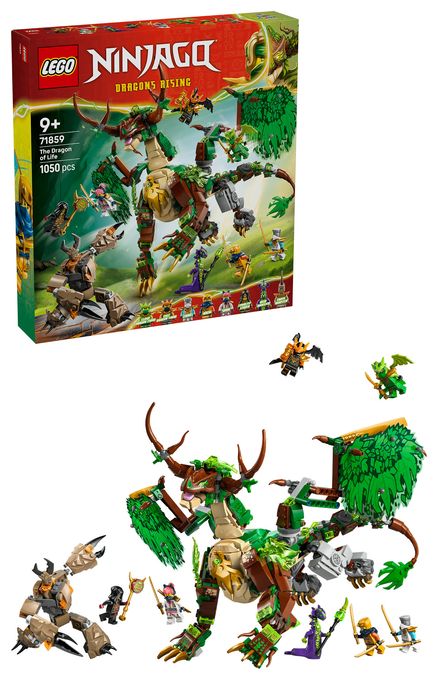 Der Drache des Lebens 