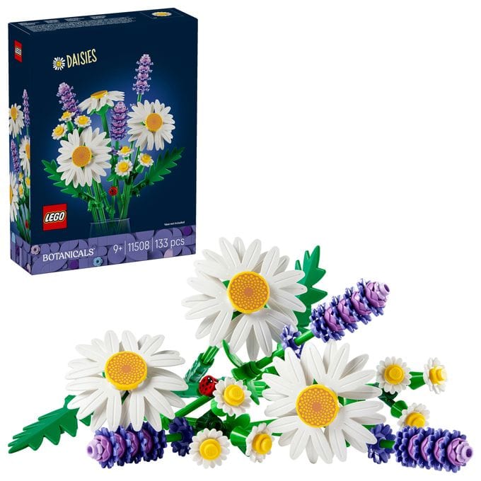 Gänseblümchen 