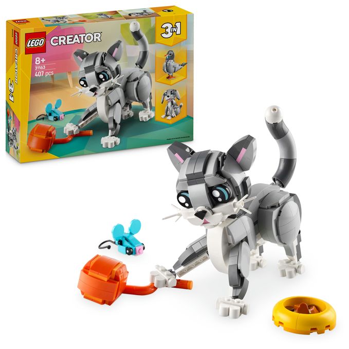 Graue Katze 