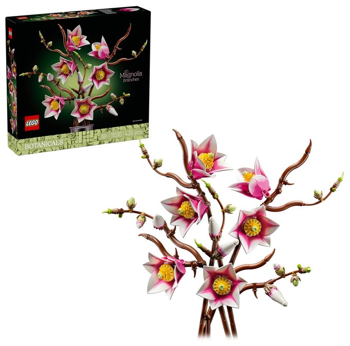 Magnolienzweige 