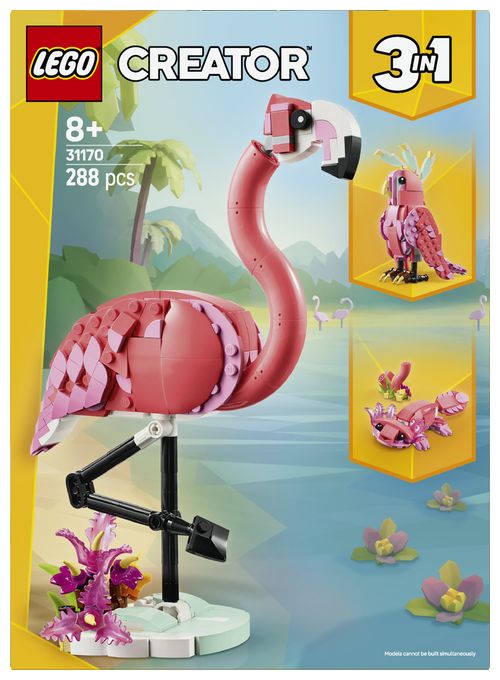 Wilde Tiere: Rosa Flamingo 