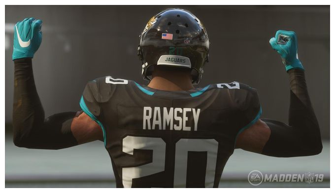 Madden NFL 19 