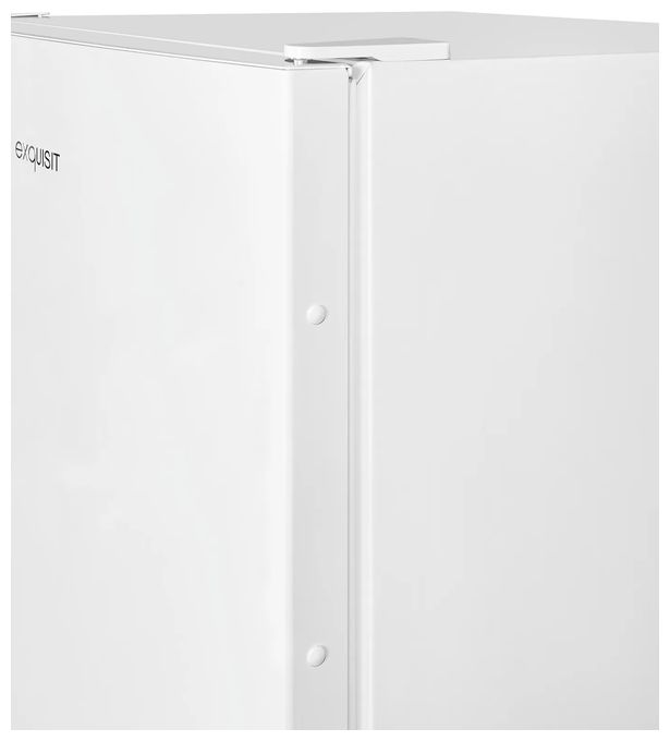 161 l Gefrierschrank 132 kWh Jahr NoFrost  GS231-NF-H-040C (Weiß) 
