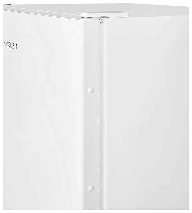 161 l Gefrierschrank 132 kWh Jahr NoFrost  GS231-NF-H-040D (Weiß) 