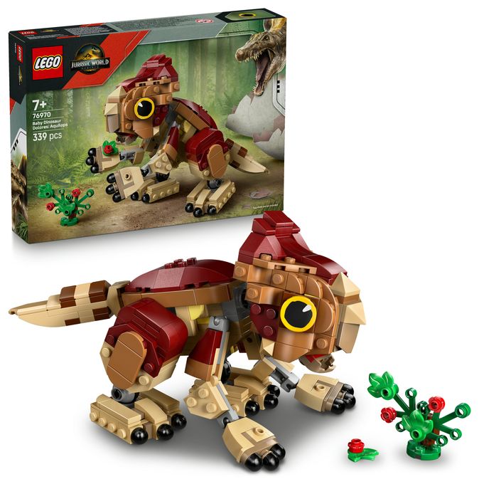Babydinosaurier Dolores: Aquilops 