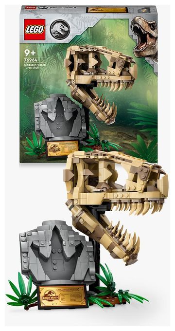 Dinosaurier-Fossilien: T.-rex-Kopf 