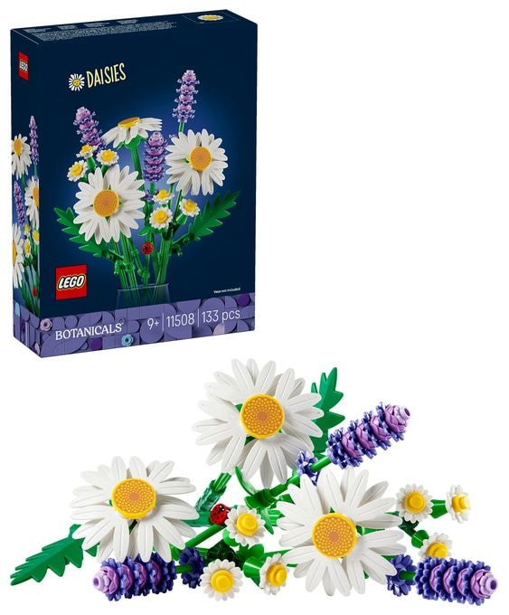 Gänseblümchen 