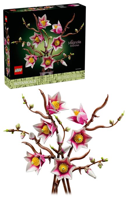 Magnolienzweige 