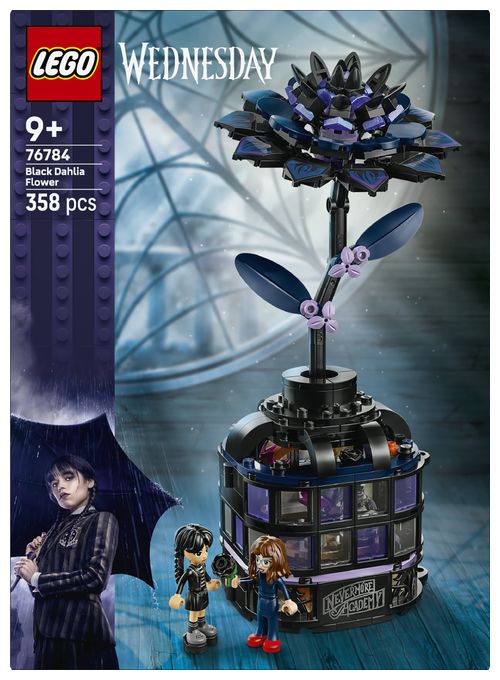Schwarze Dahlie 