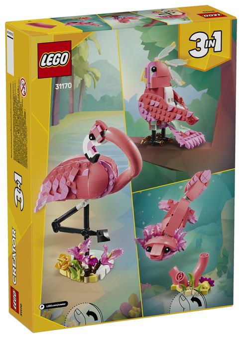 Wilde Tiere: Rosa Flamingo 