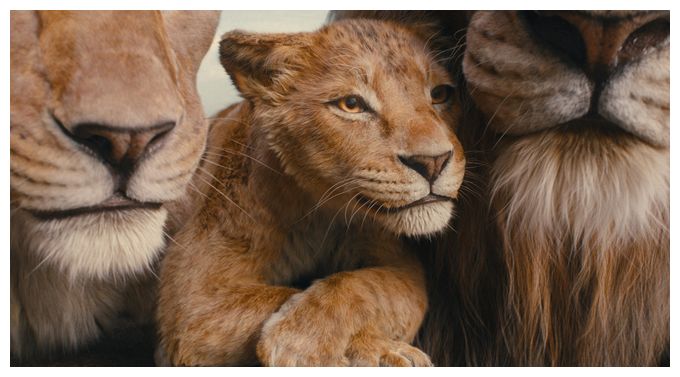 Mufasa: Der König der Löwen (DVD) 