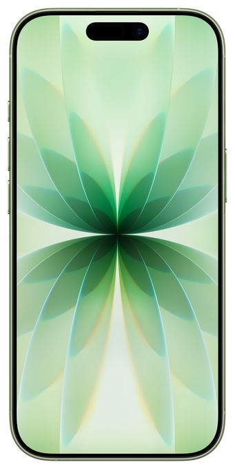 256 GB 5G Smartphone 16 cm (6.3 Zoll) IOS 48 MP Dual Kamera Dual Sim WiFi 7  iPhone 17 (Salbei) 
