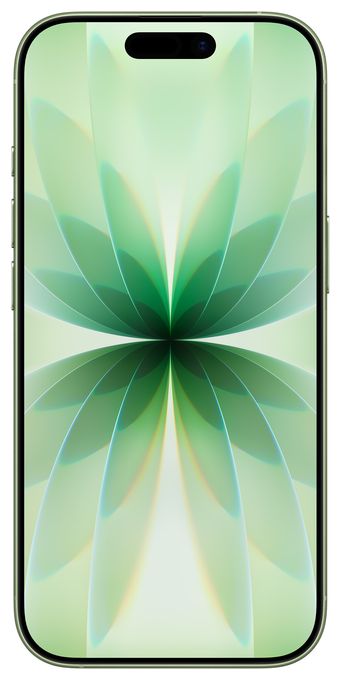 512 GB 5G Smartphone 16 cm (6.3 Zoll) IOS 48 MP Dual Kamera Dual Sim WiFi 7  iPhone 17 (Salbei) 