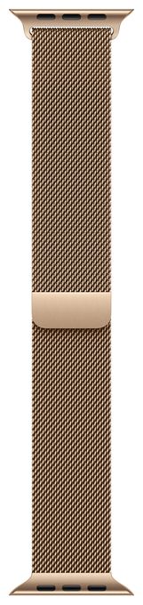 Armband  40 mm Apple Watch 38/40/41mm  MGHW4ZM/A (Gold) 