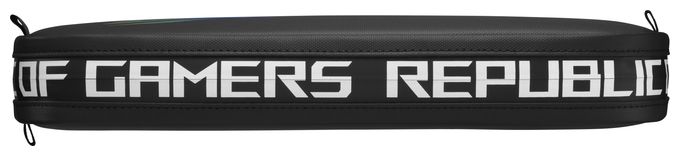 ROG ALLY Travel Case 