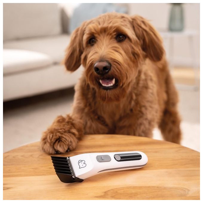 PP110 Fluffy Hundeschermaschine 