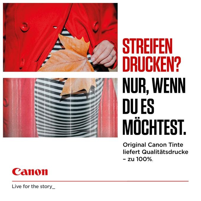 originale Druckerpatronen Schwarz 25,7 ml 600 Seiten PGI-580XXLPGBK 
