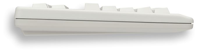 Industriell Tastatur USB  G80-11900 (Grau) 