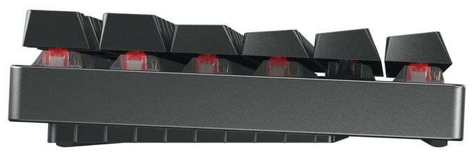 RGB-LED Gaming Tastatur USB + RF Wireless + Bluetooth 2.4 GHz  MX8.2 TKL Wireless (Schwarz) 