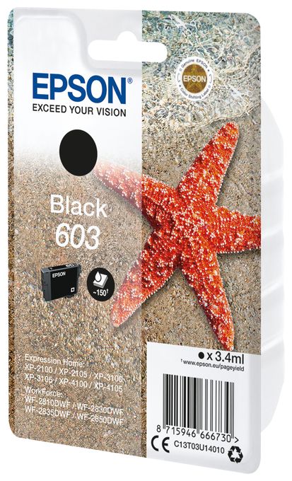Singlepack Black 603 Ink 