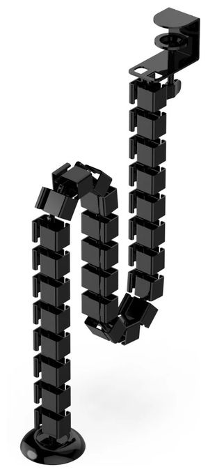 Spine 