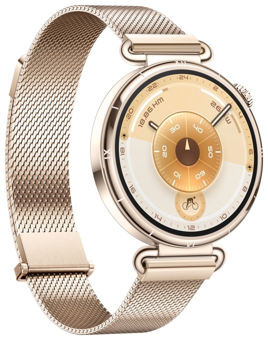Digital 41 mm Smartwatch Rund IP69 336 h 352 ppi  Watch GT6 (Gold) 