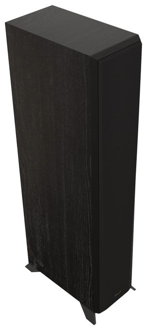 100 W 2-Wege Lautsprecher  RP-5000F II (Schwarz) 