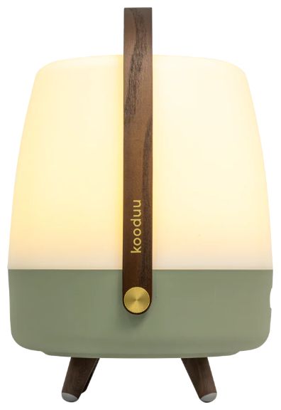 10 W Bluetooth Lautsprecher Laufzeit bis 11 h  Lite-up Play 2.0 (Grün, Weiß, Holz) 