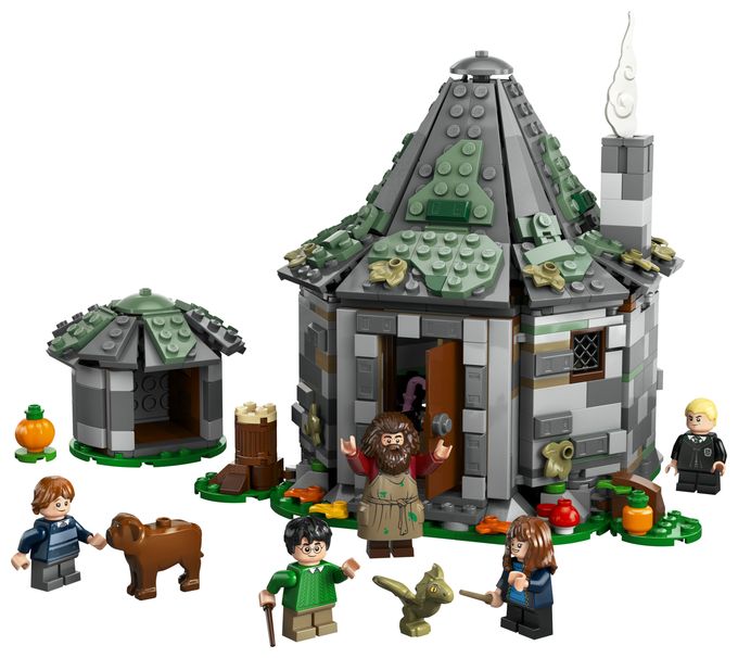 Hagrids Hütte: Ein unerwarteter Besuch 