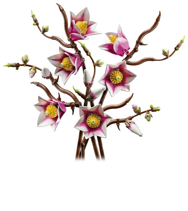 Magnolienzweige 