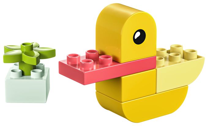 Meine erste Ente 