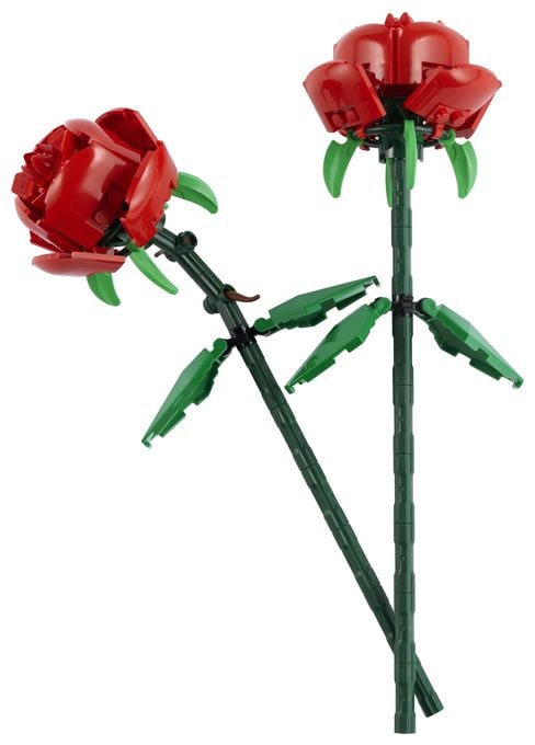Rosen 