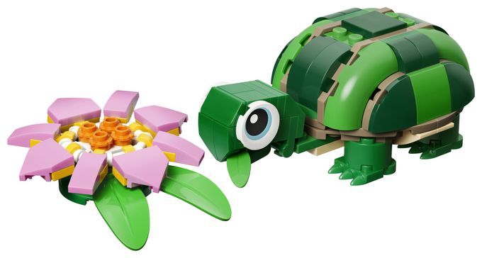 Schildkröte mit Seerose 