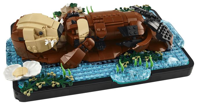 Schwimmende Otter 