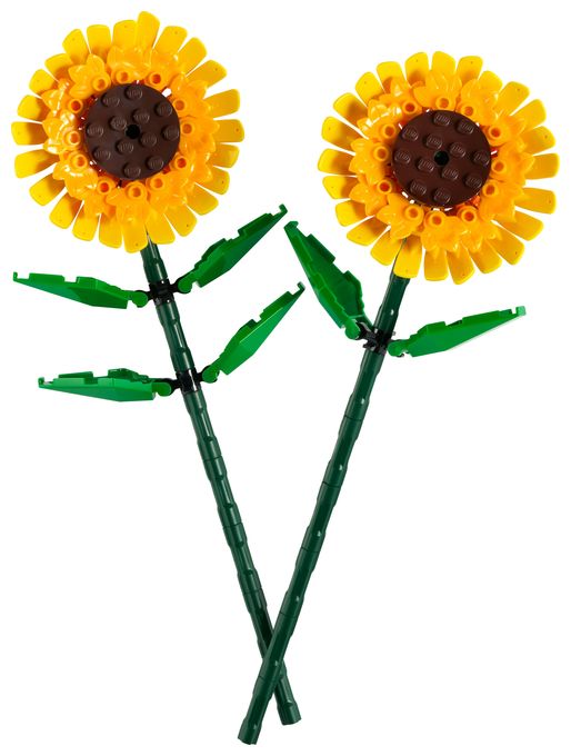 Sonnenblumen 
