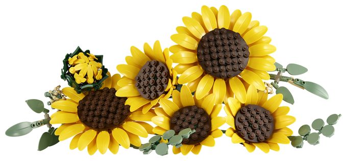 Sonnenblumen 