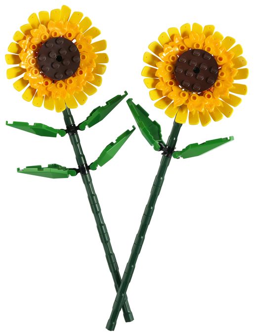 Sonnenblumen 