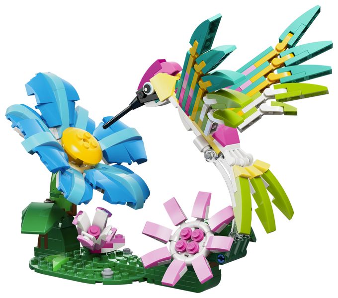 Wilde Tiere: Bunter Kolibri 