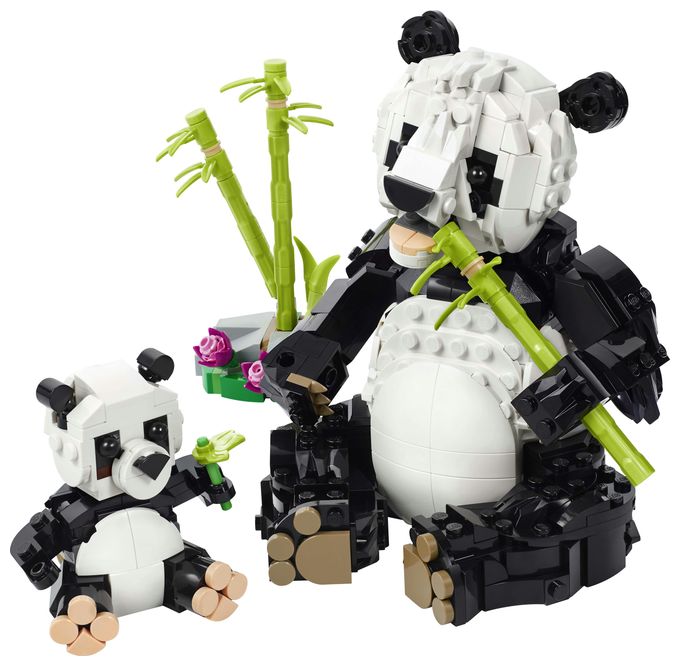 Wilde Tiere: Pandafamilie 
