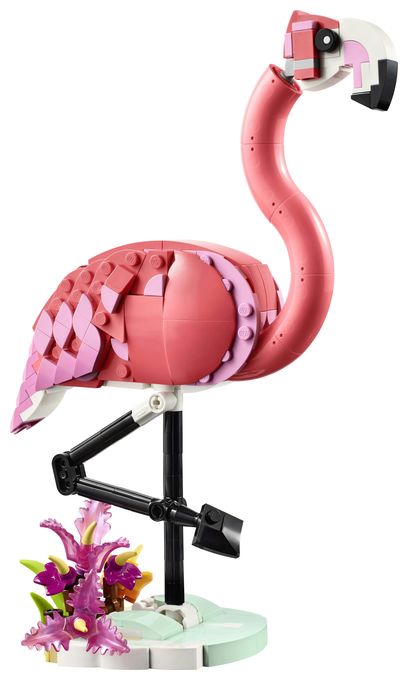 Wilde Tiere: Rosa Flamingo 