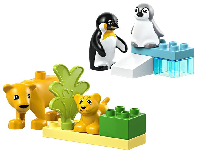 Wildtier-Familien: Pinguine und Löwen 