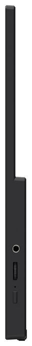 Full HD Monitor 39,6 cm (15.6 Zoll) 16:9 4 ms  Pro MP165DE E6 (Schwarz) 