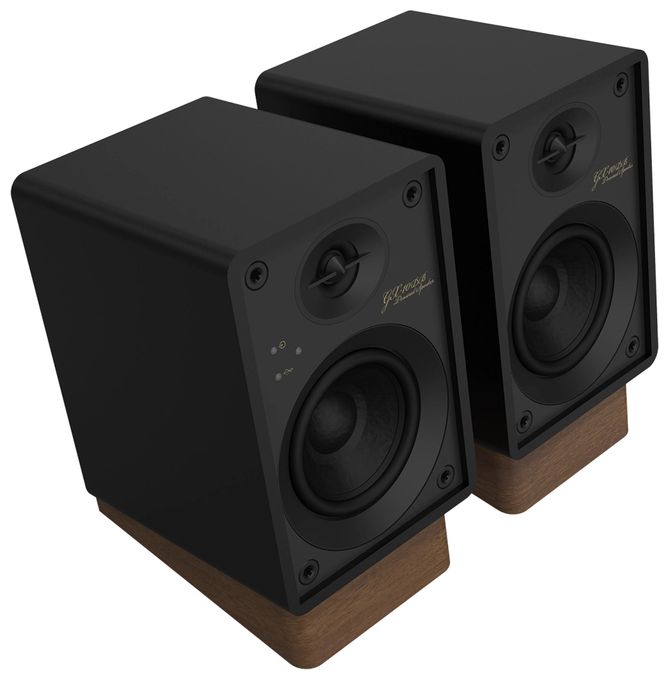 30 W Bluetooth Lautsprecher  GX-10DB (Schwarz) 